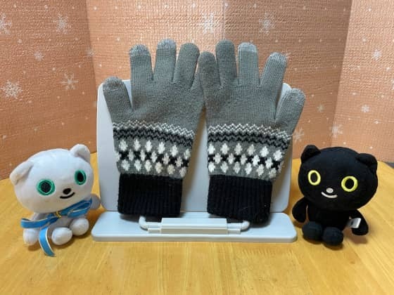 2年使ったダイソーの手袋.jpg