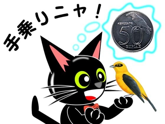 4手乗りのウグイス.jpg