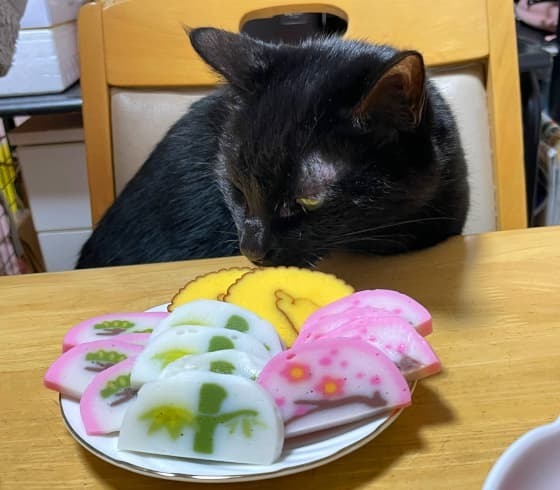 おせちの匂いを賞味.jpg