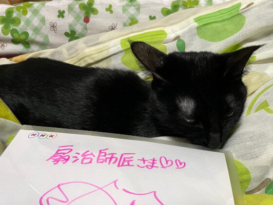 こまちとクリアファイル.jpg