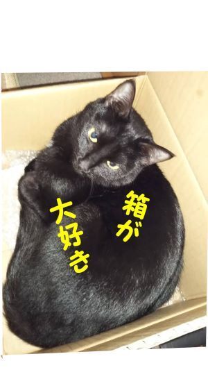 こまち箱小.JPG