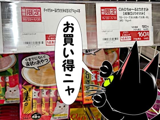 ちゅ~る取材.jpg
