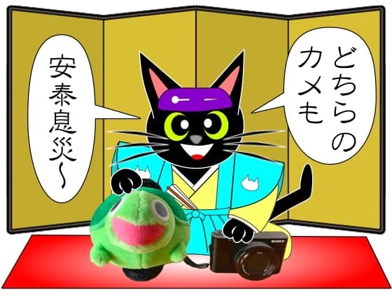 どちらのカメも.jpg