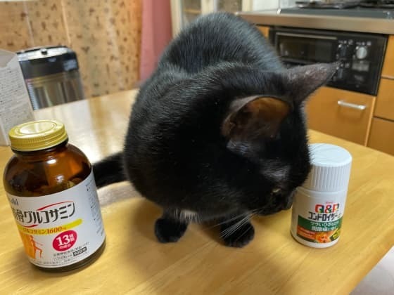 どっちがいいかな.jpg