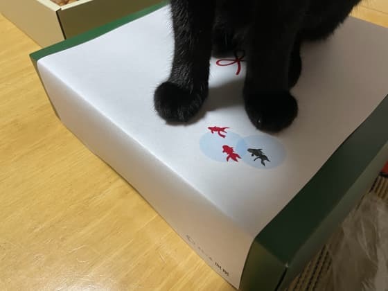 のしの金魚.jpg