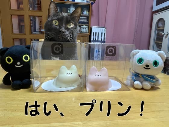はいプリン.jpg