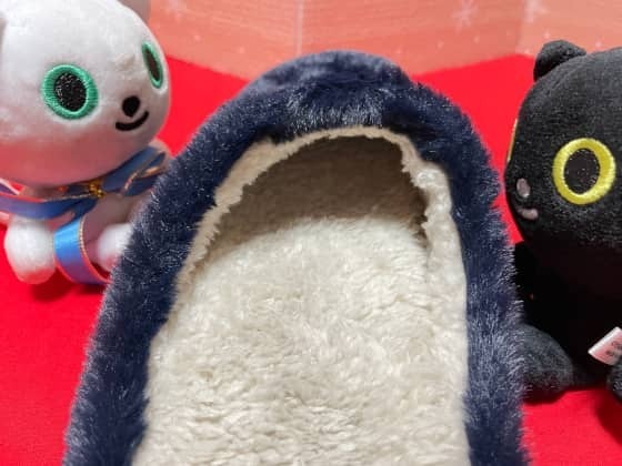 ふみ底に発熱素材.jpg
