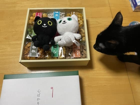 やってくるこまち.jpg