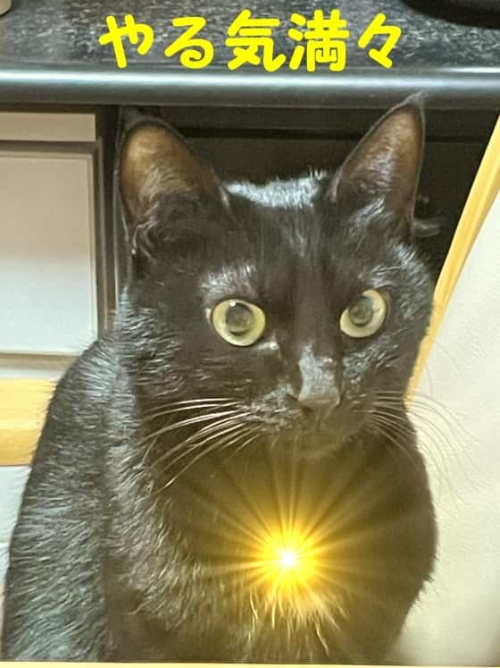 やる気になるこまち.jpg