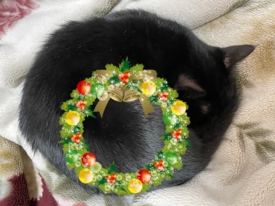 クリスマスリースこまち.jpg
