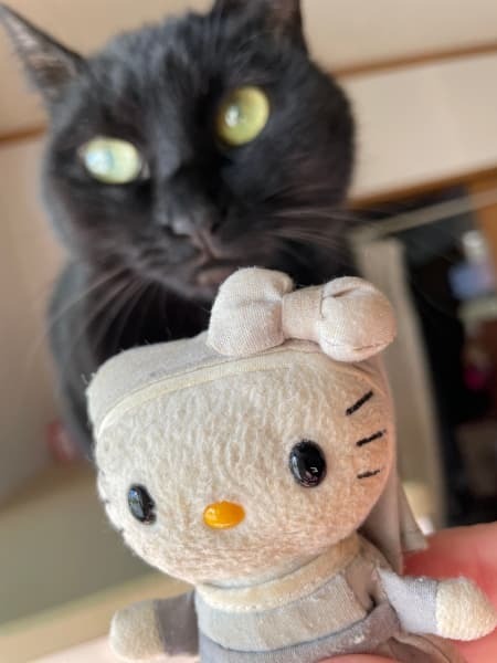 シスターキティちゃん.jpg