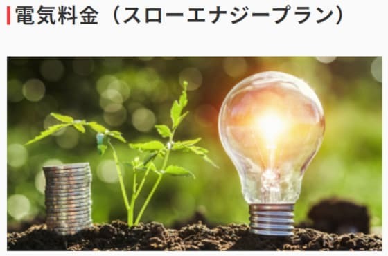 スローエナジー.jpg