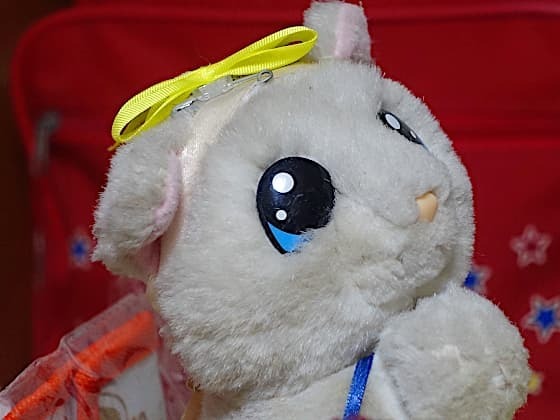 ズームインお願いさん.jpg