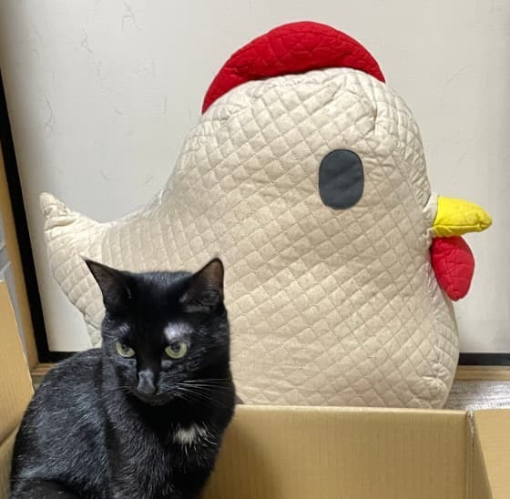 ニワトリに遠慮.jpg