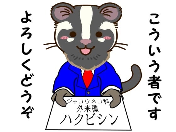 ハクビシンと申します.jpg