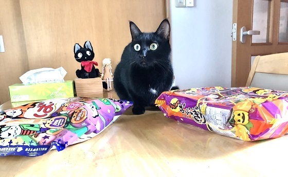 ハロウィンお供え2.jpg