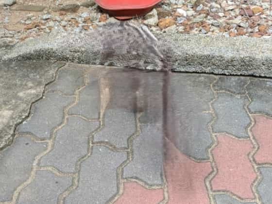 フォトで黒猫消去.jpg