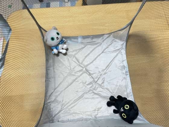 中は広々.jpg