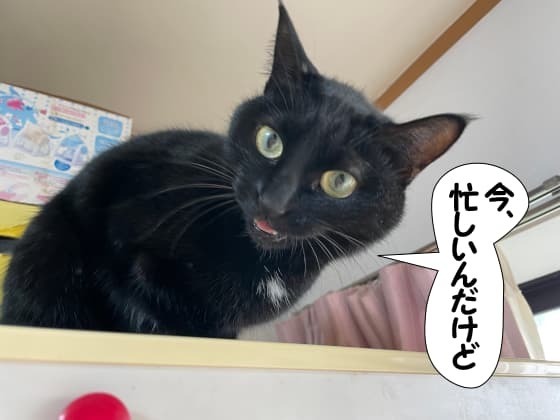 今忙しい.jpg