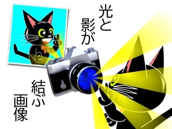 分けた明暗.jpg