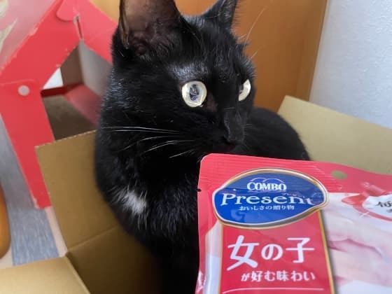別荘の中で女の子用.jpg