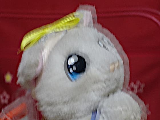 手ブレお願いさん.jpg