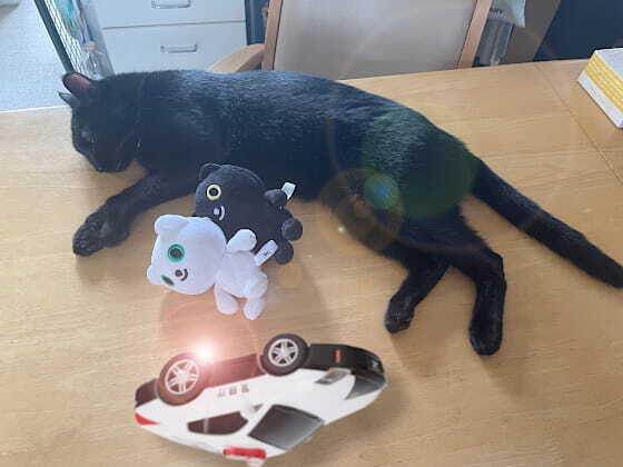 暑さでお休み.jpg