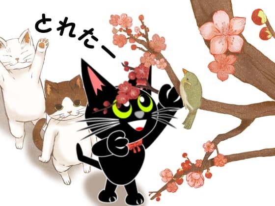 梅手折る.jpg
