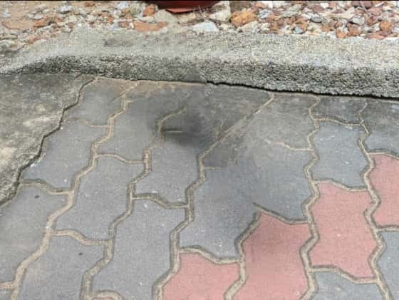 消しゴムマジックで黒猫消去.jpg