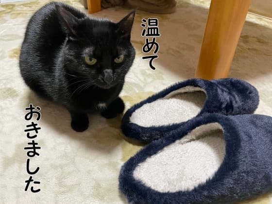 温めておいたスリッパ.jpg