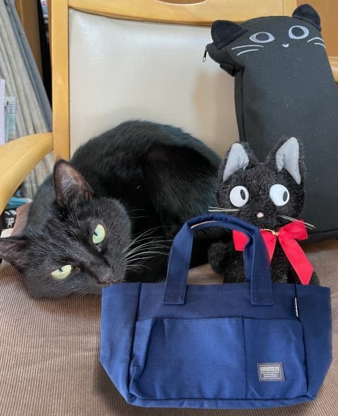 猫たちと2025年ミニトートバッグ.jpg