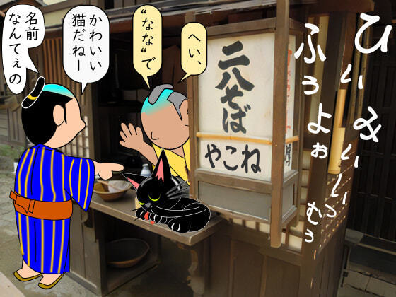 猫の名はなな.jpg
