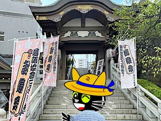 男坂で麦わら帽.jpg