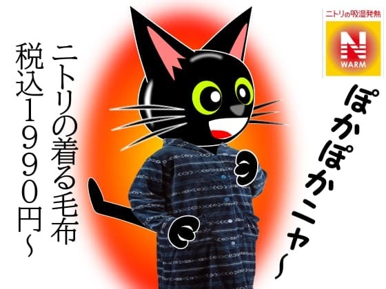 着る毛布.jpg