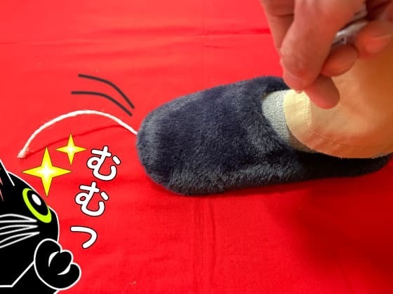 紐を踏んで.jpg