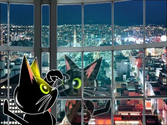 見下ろしたすすきの.jpg