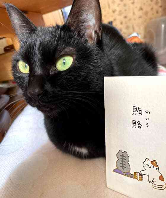賄賂もらったこまち.jpg