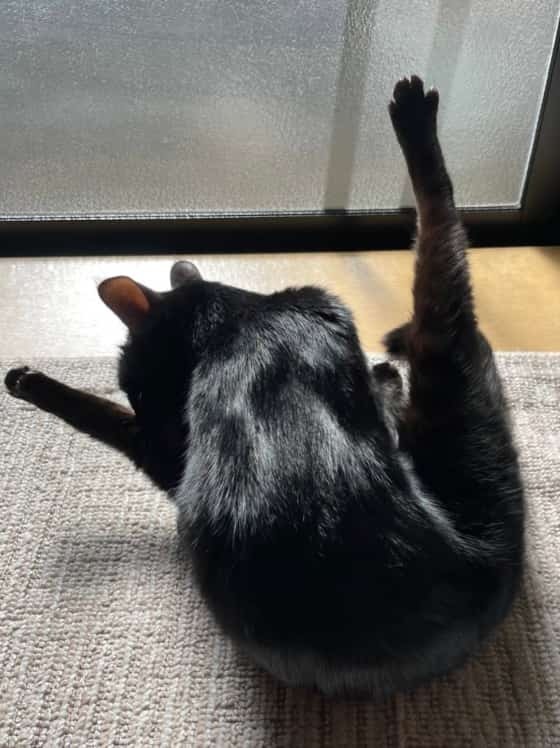 身繕いバレリーナ.jpg