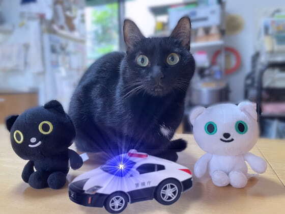黒猫チーム.jpg